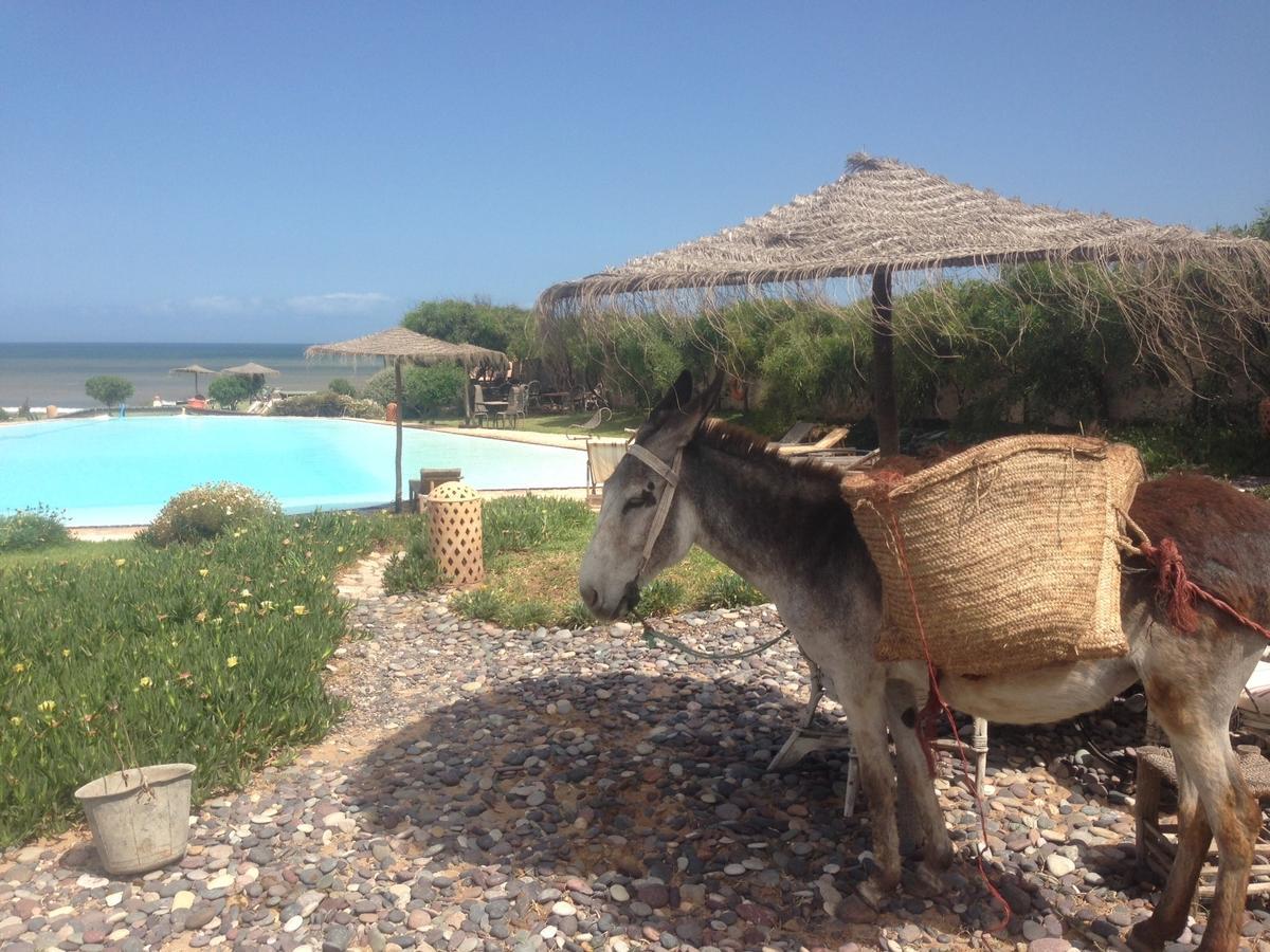 Dar Danse, The Bubble On The Beach Hotel Zaouia Akermoud Exterior photo